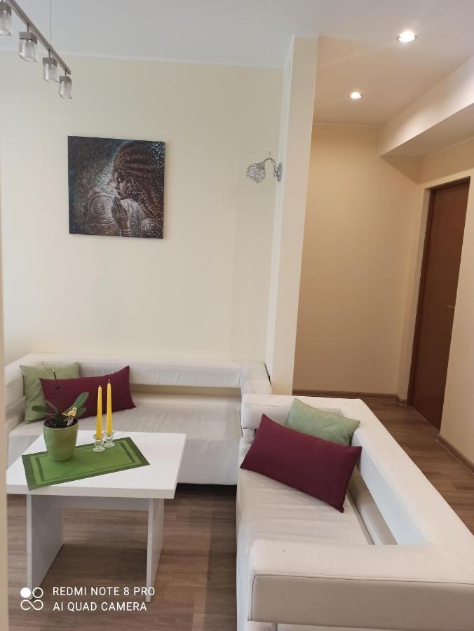 Nelli Apartamentai ดรูซกินินไก ภายนอก รูปภาพ