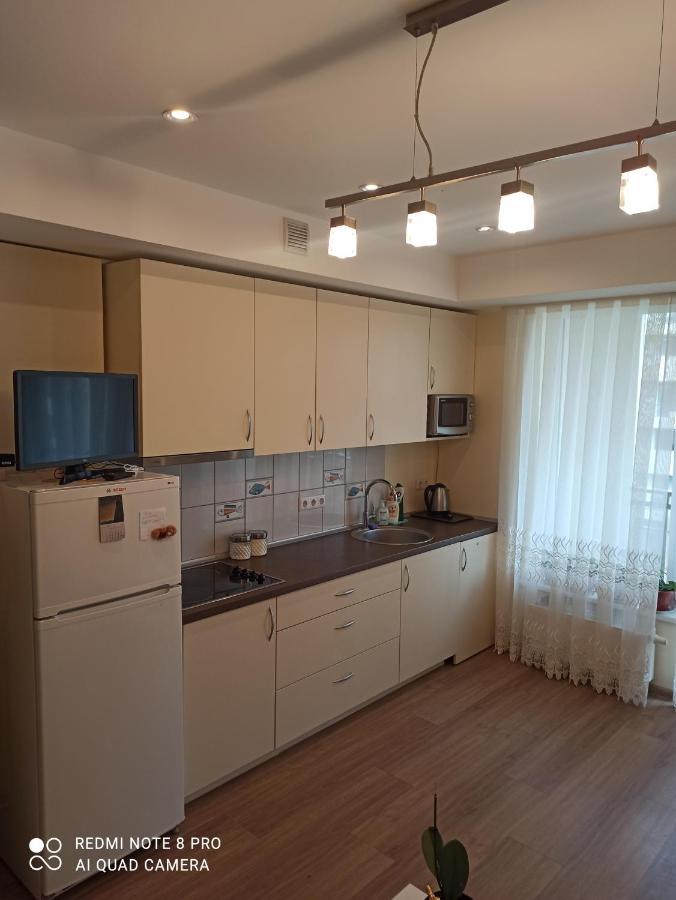 Nelli Apartamentai ดรูซกินินไก ภายนอก รูปภาพ